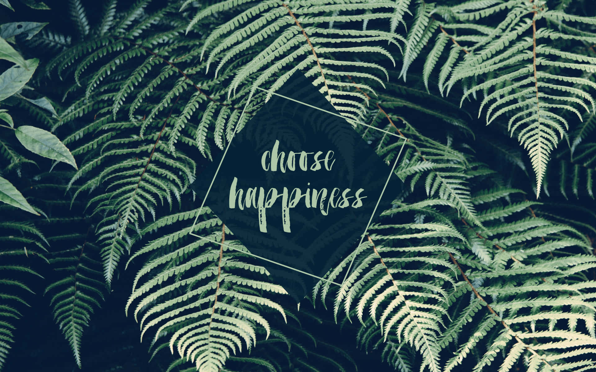 Lime Green Aesthetic Choose Happiness Background