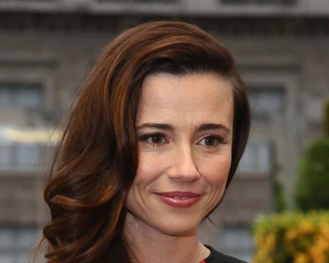 Linda Cardellini Radiant Smile Background