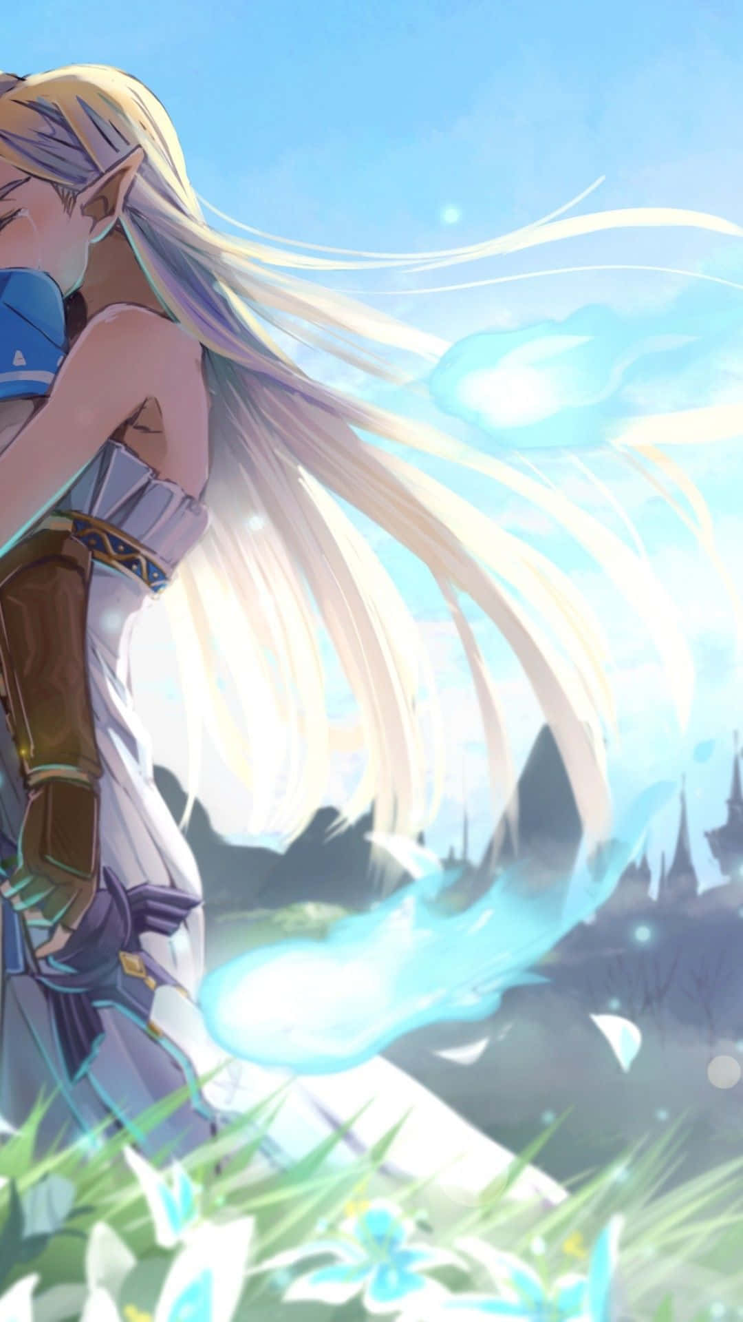 Link, Hero Of Hyrule Background
