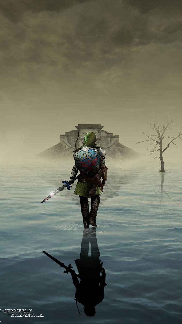Link Wallpaper Link Iphone 6 Wallpaper - Legend Of Zelda Background