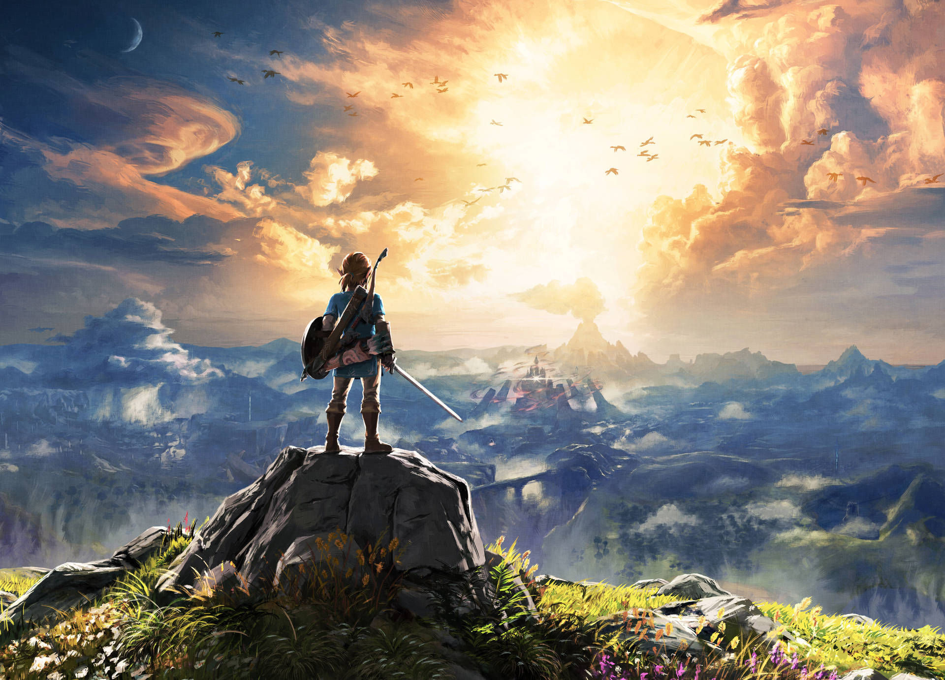 Link Zelda Breath Of The Wild Background