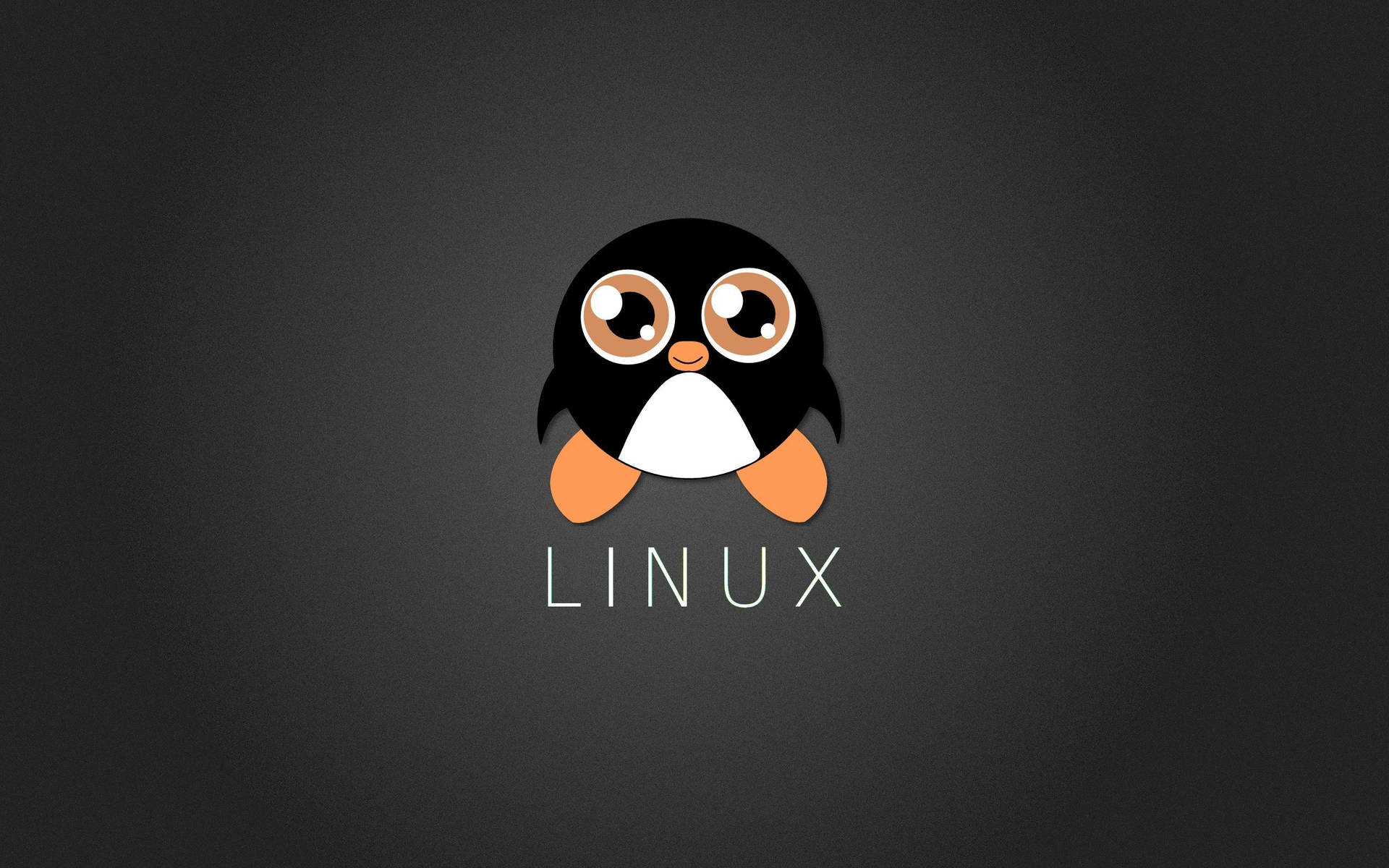 Linux Cute Cartoon Penguin Background