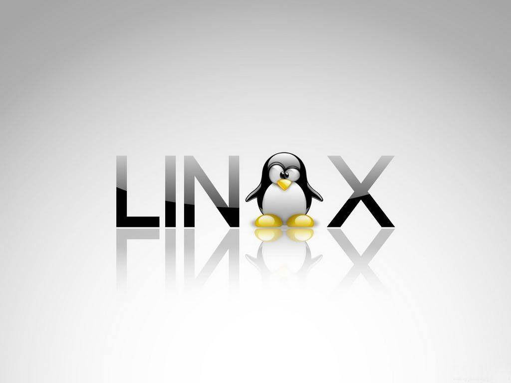 Linux Desktop Design With Penguin Tux Background