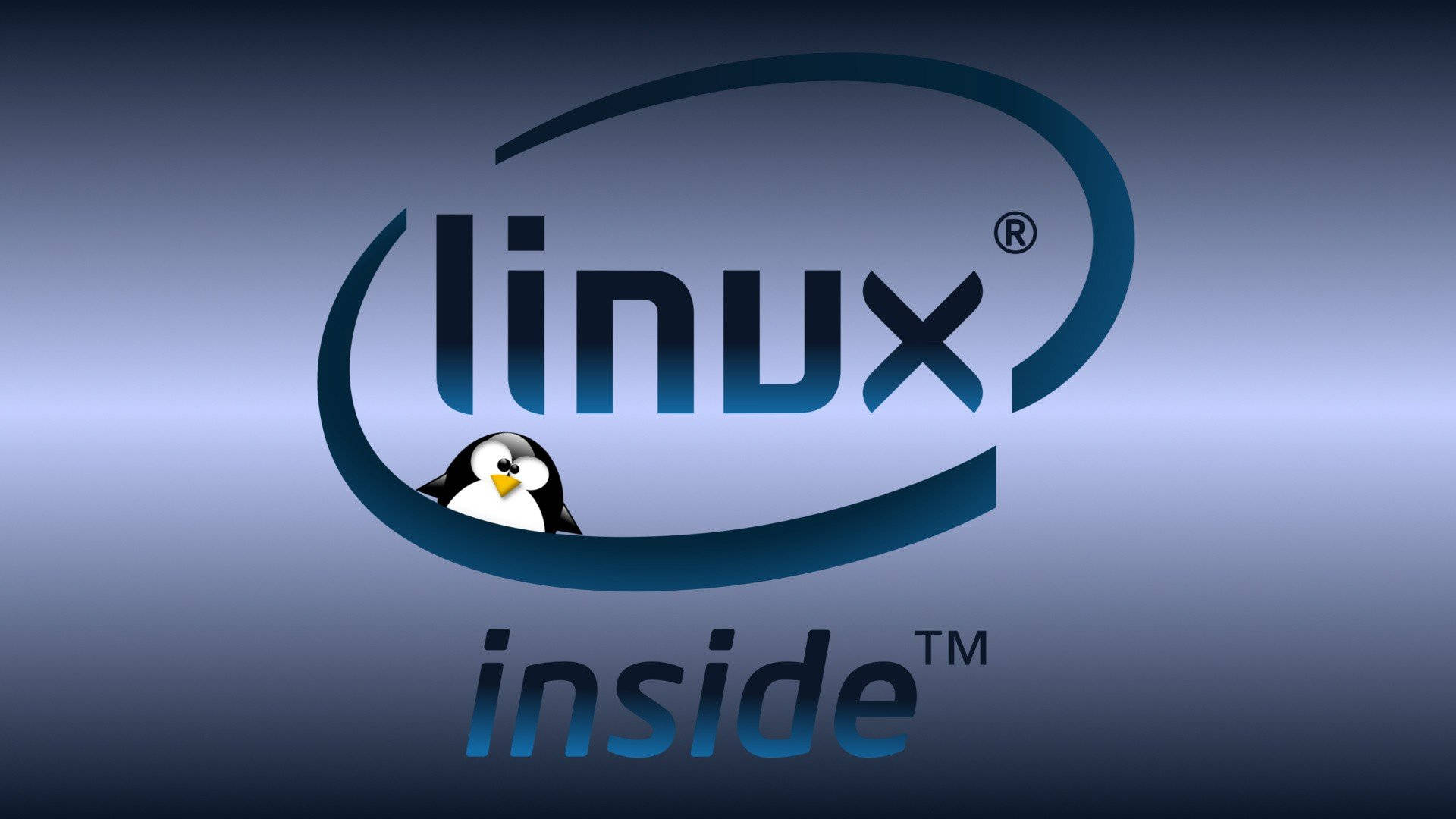 Linux Os Penguin Inside