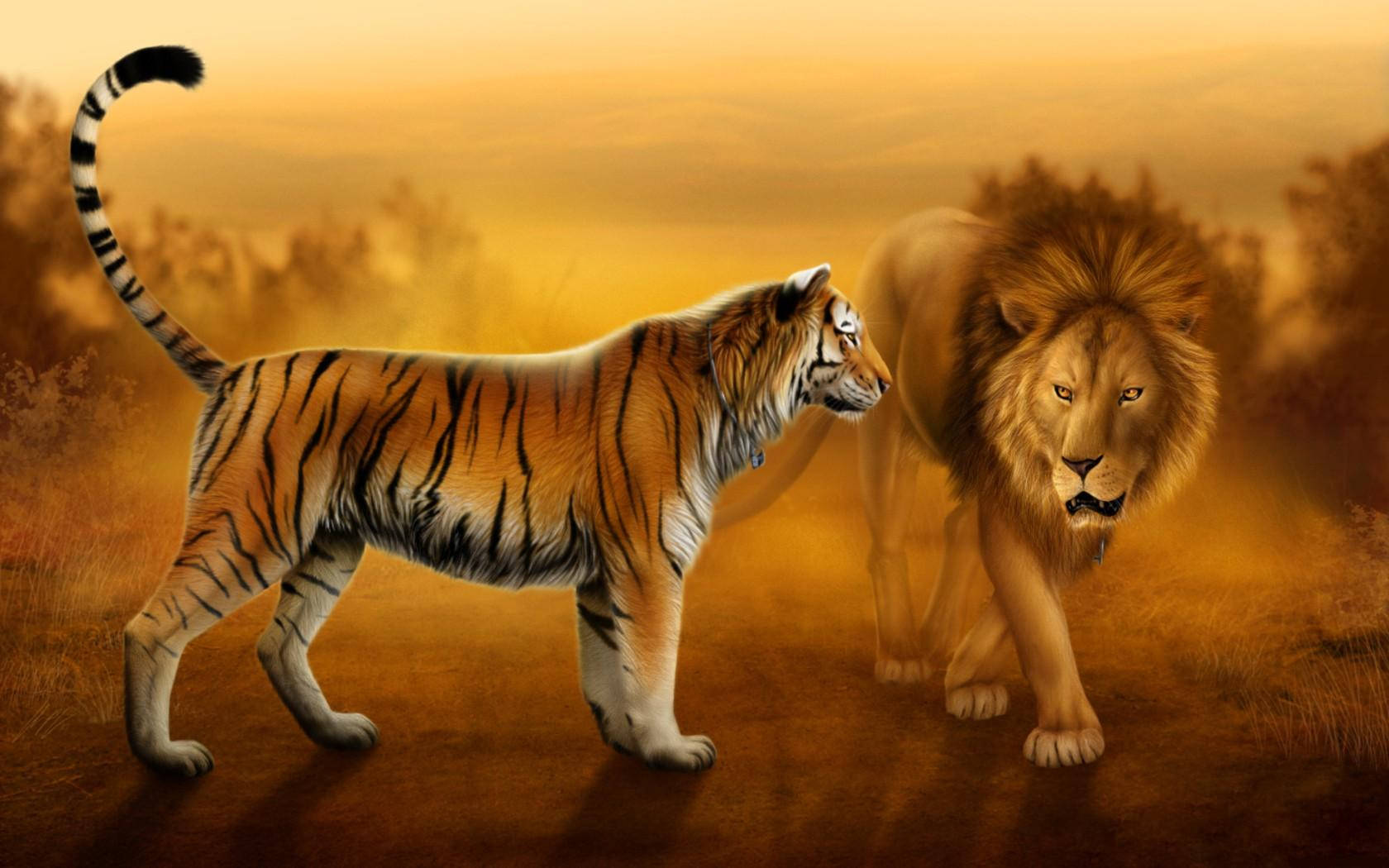 Lion And Tiger Art