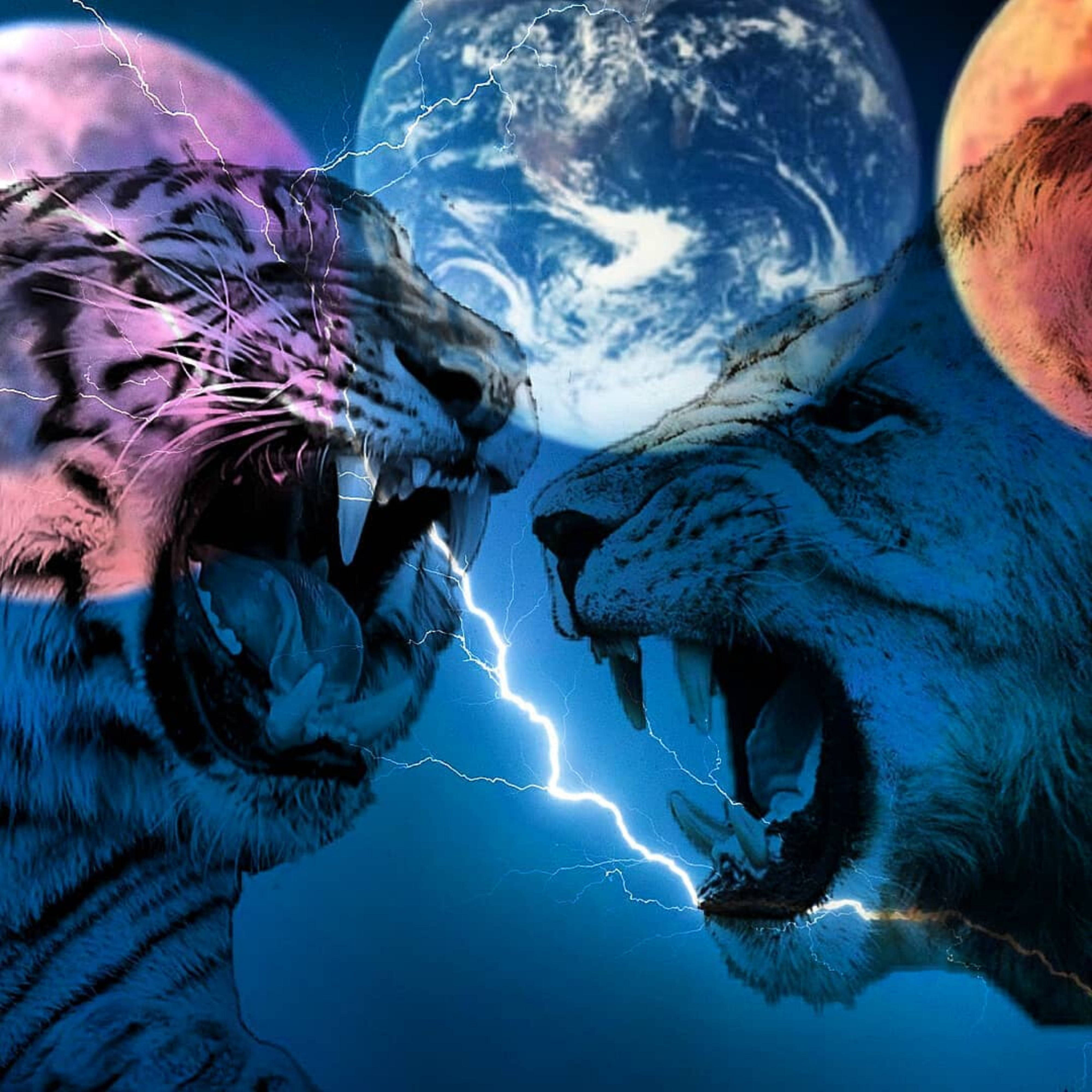 Lion And Tiger Planets