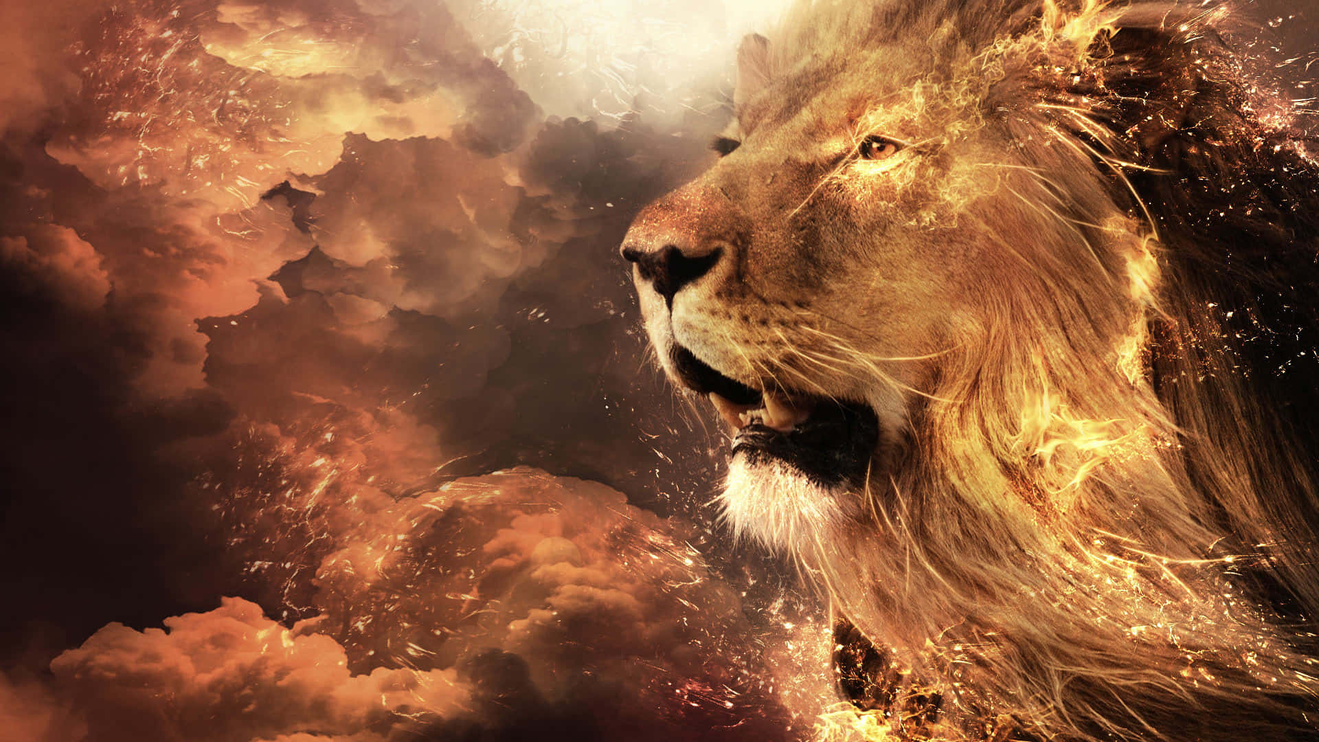 Lion Face Fiery Art Background