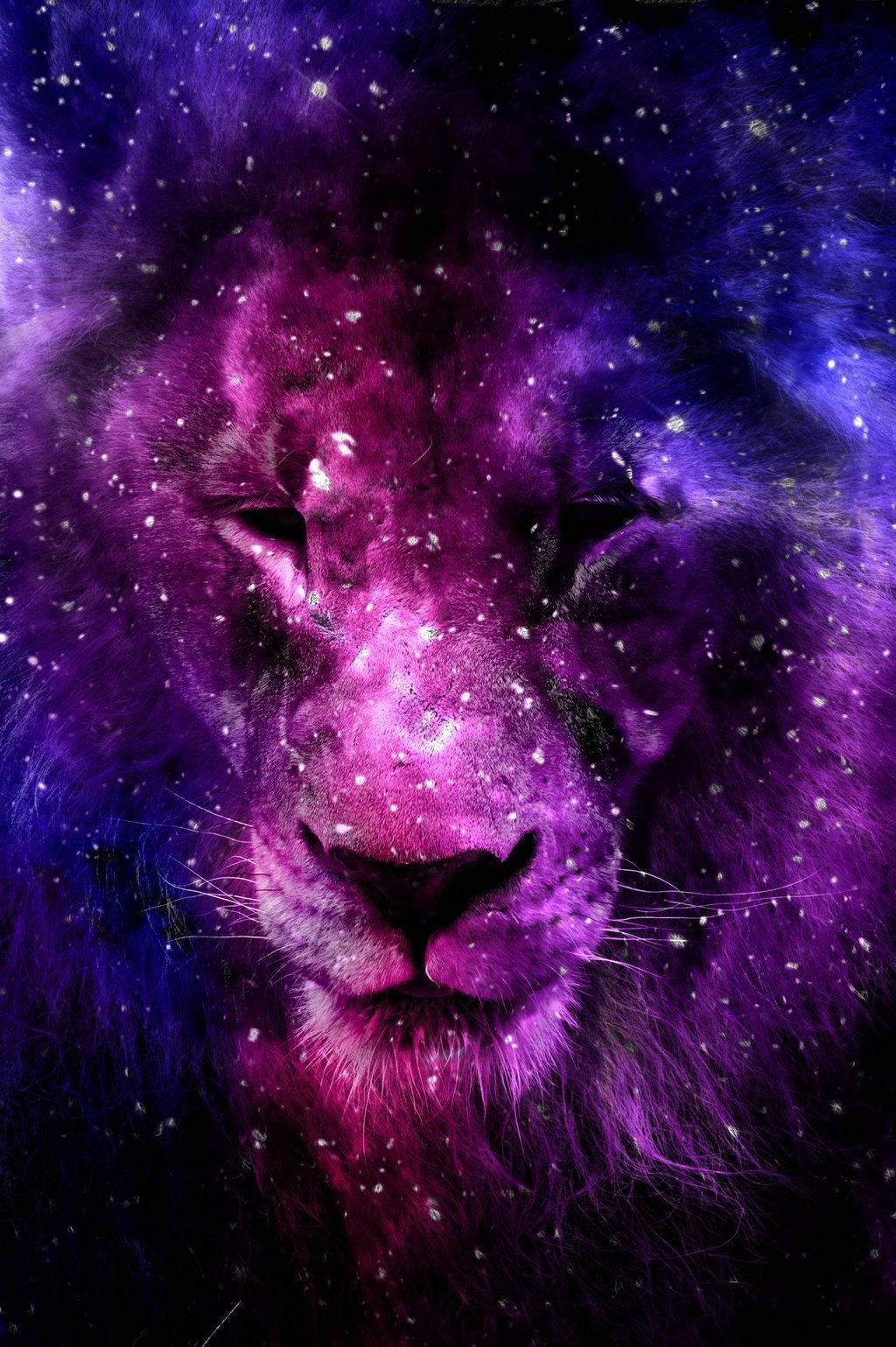 Lion Galaxy Purple Night