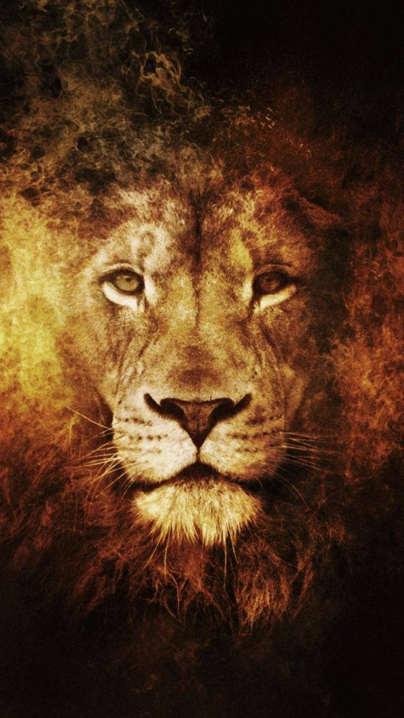 Lion Head Abstract Iphone 6 Background
