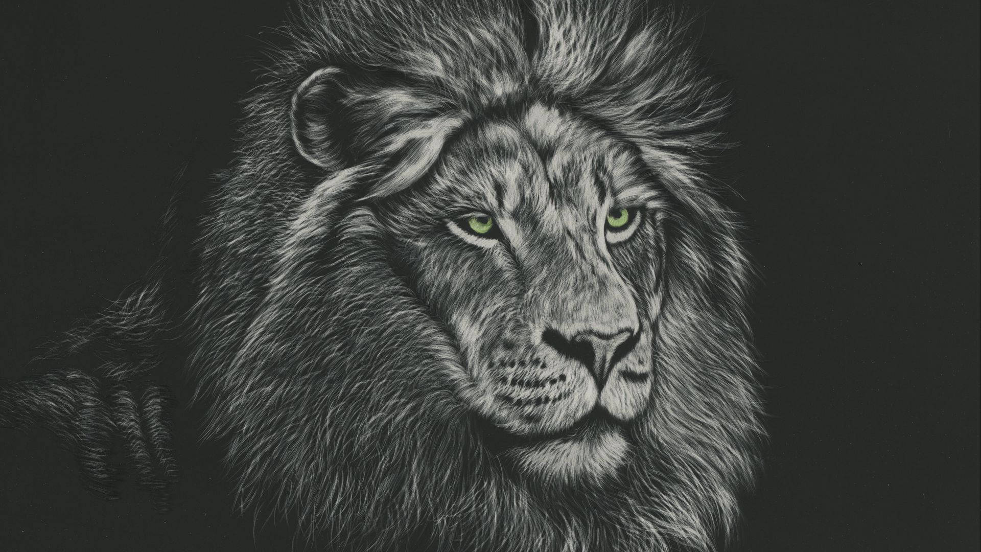 Lion Head In Grayscale