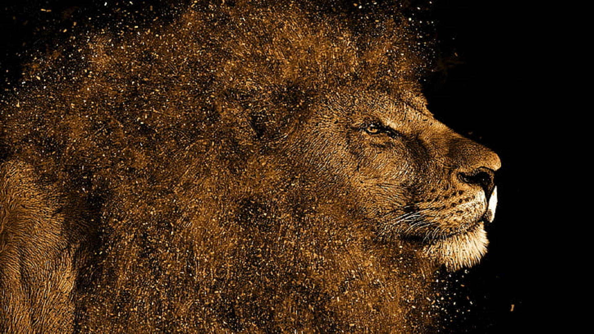 Lion Head Particles Artwork Background