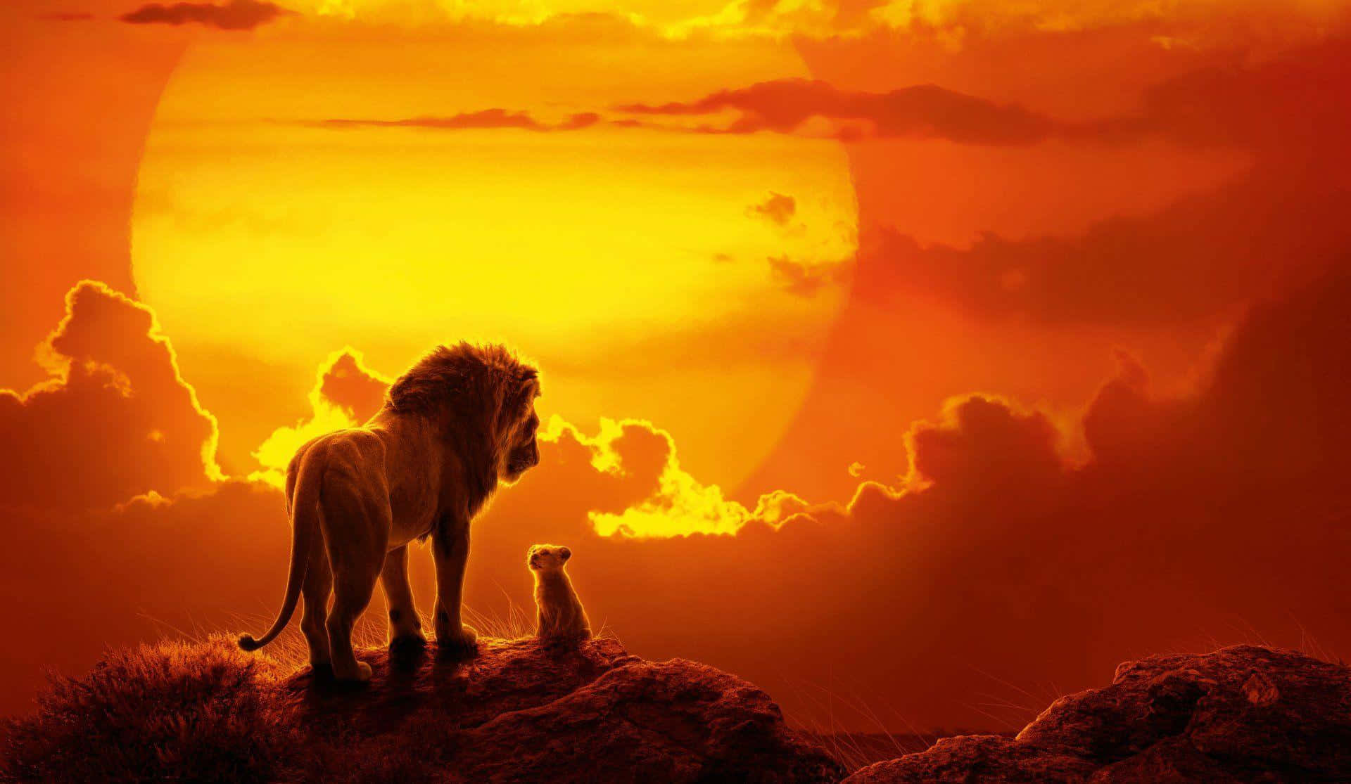 Lion King Sunset Silhouette Background