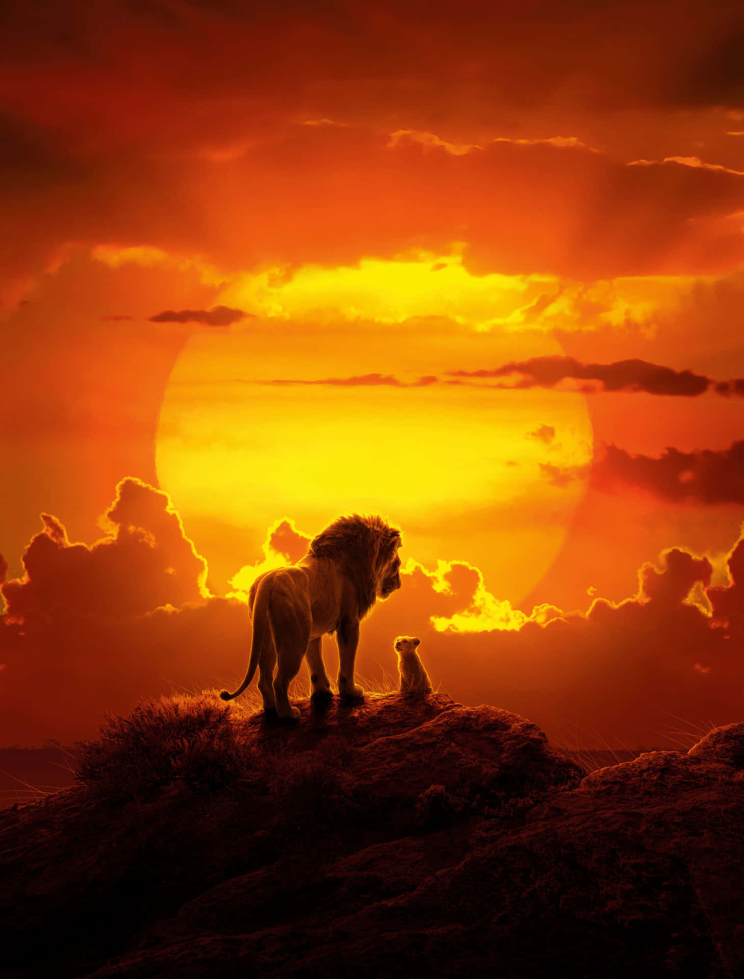 Lion King Sunset Silhouette