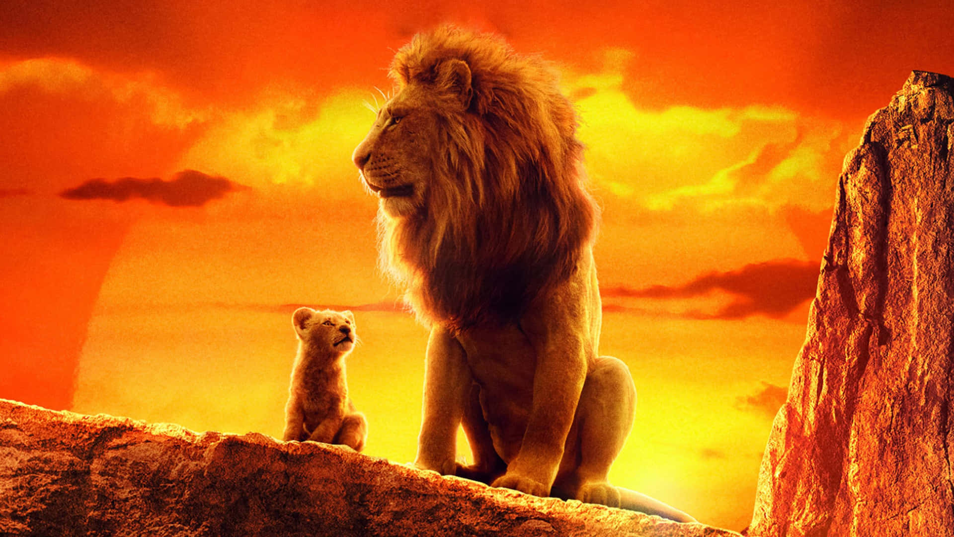 Lion King Sunset Simbaand Mufasa Background