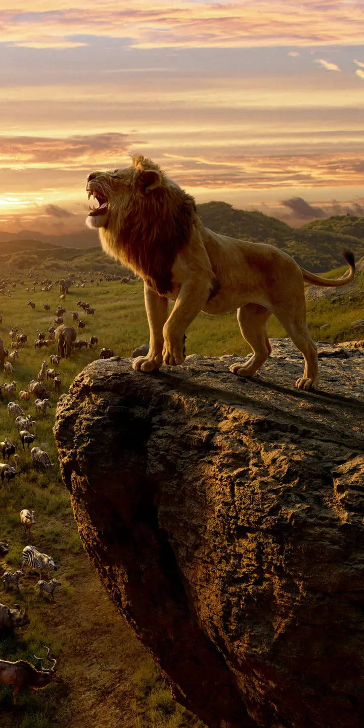 Lion Phone King Roar Background