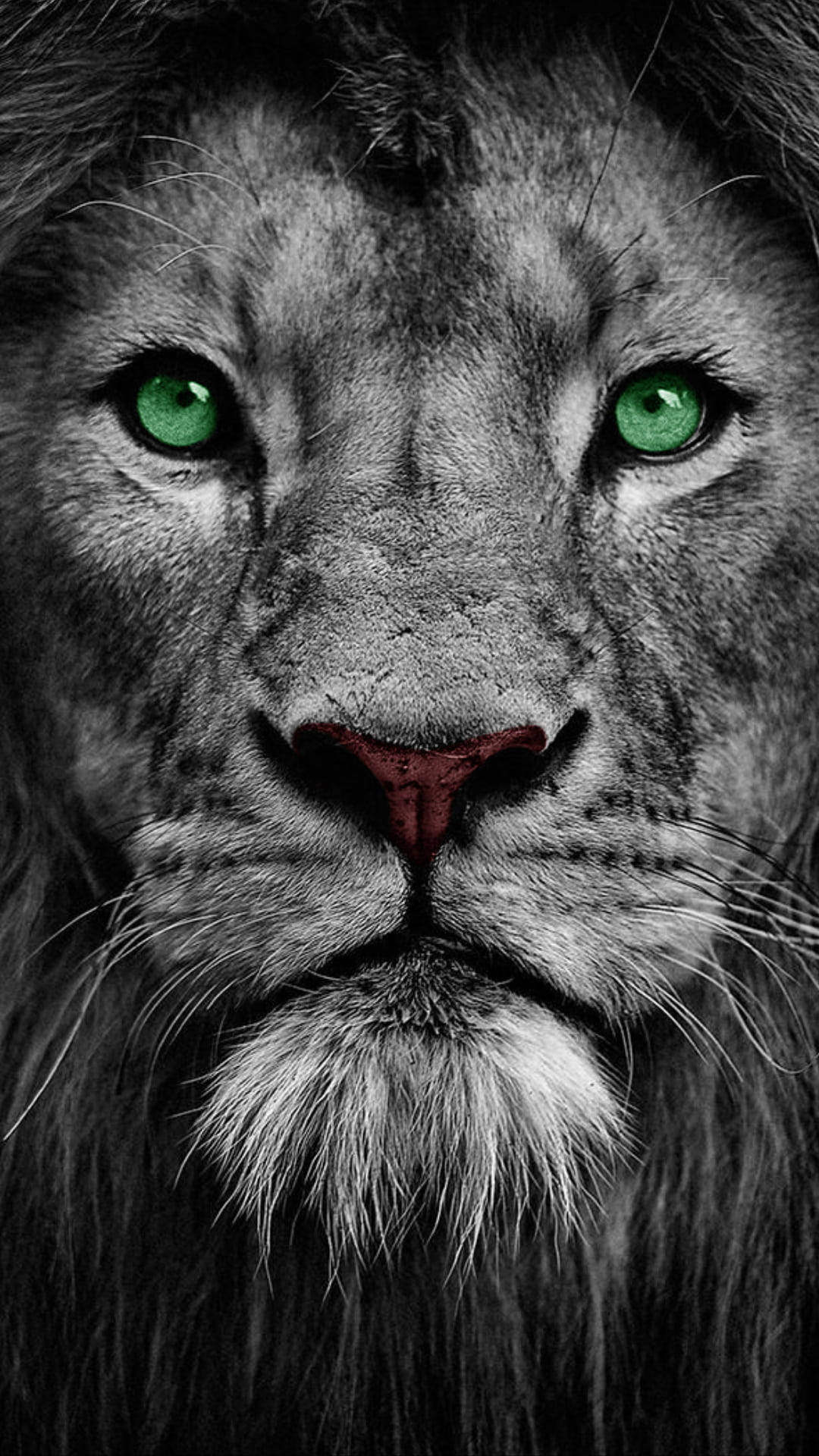Lion With Cool Green Eyes Background