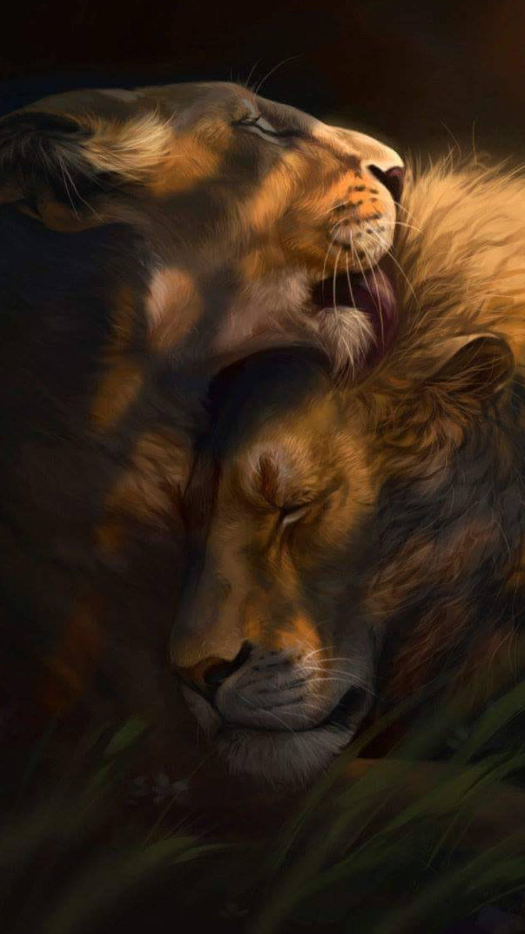 Lioness And Lion Phone Background