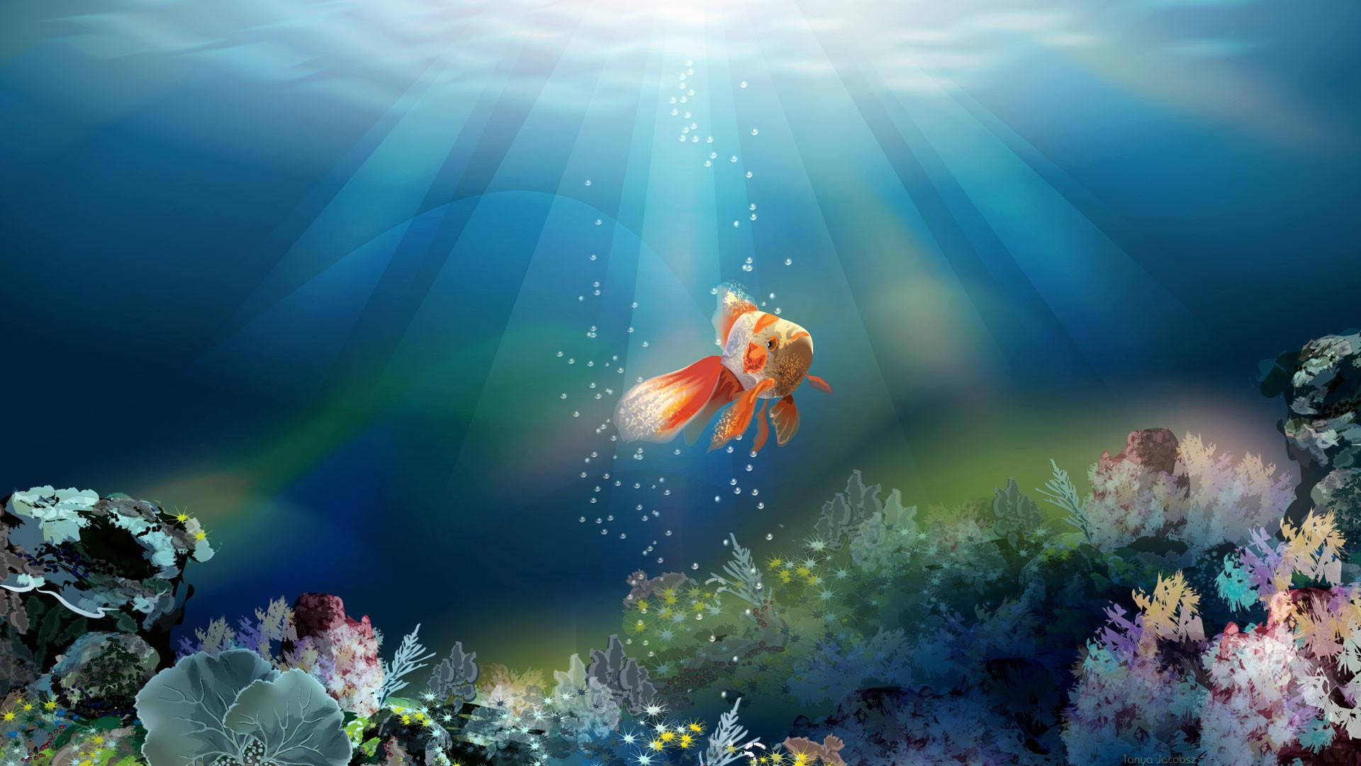 Lionhead Goldfish Background