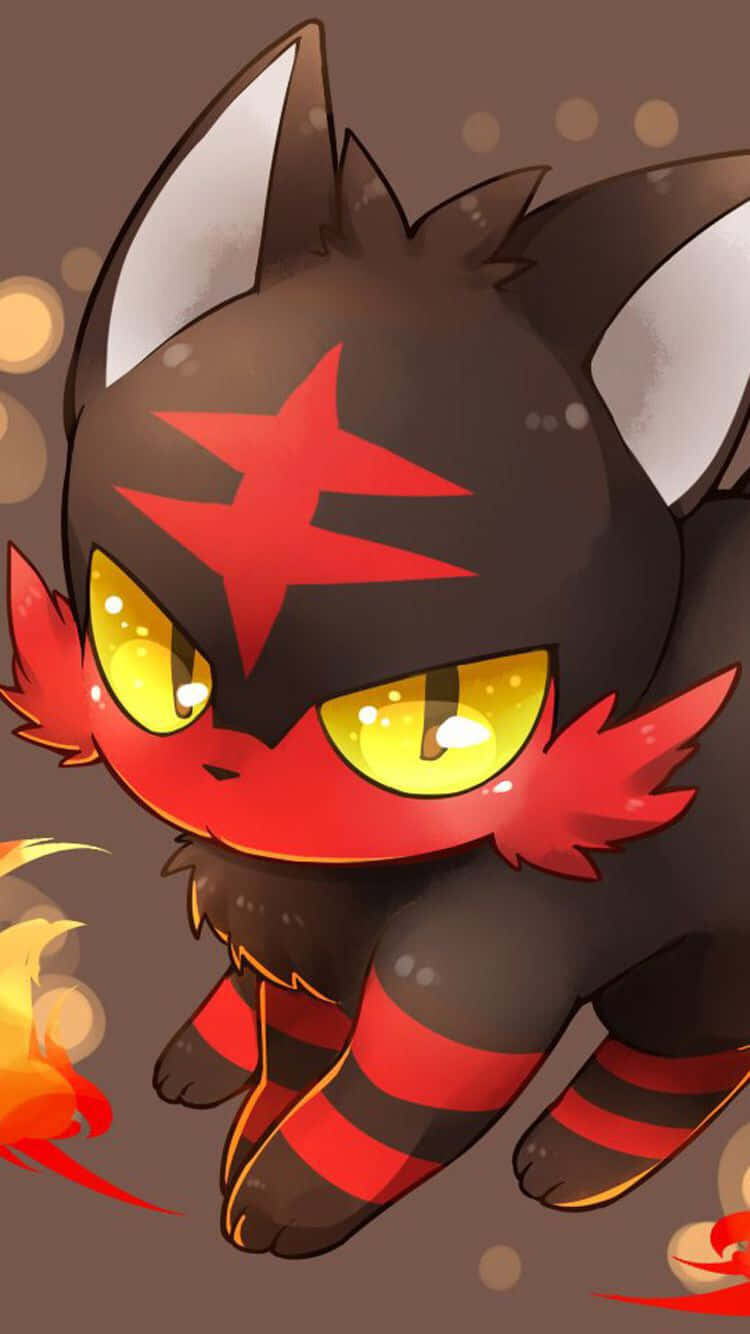 Litten In Brown Backdrop Background