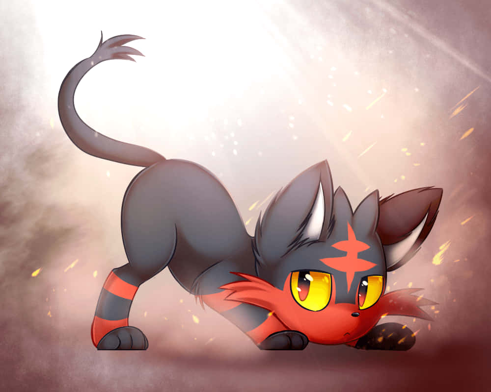 Litten In Playful Cat Pose