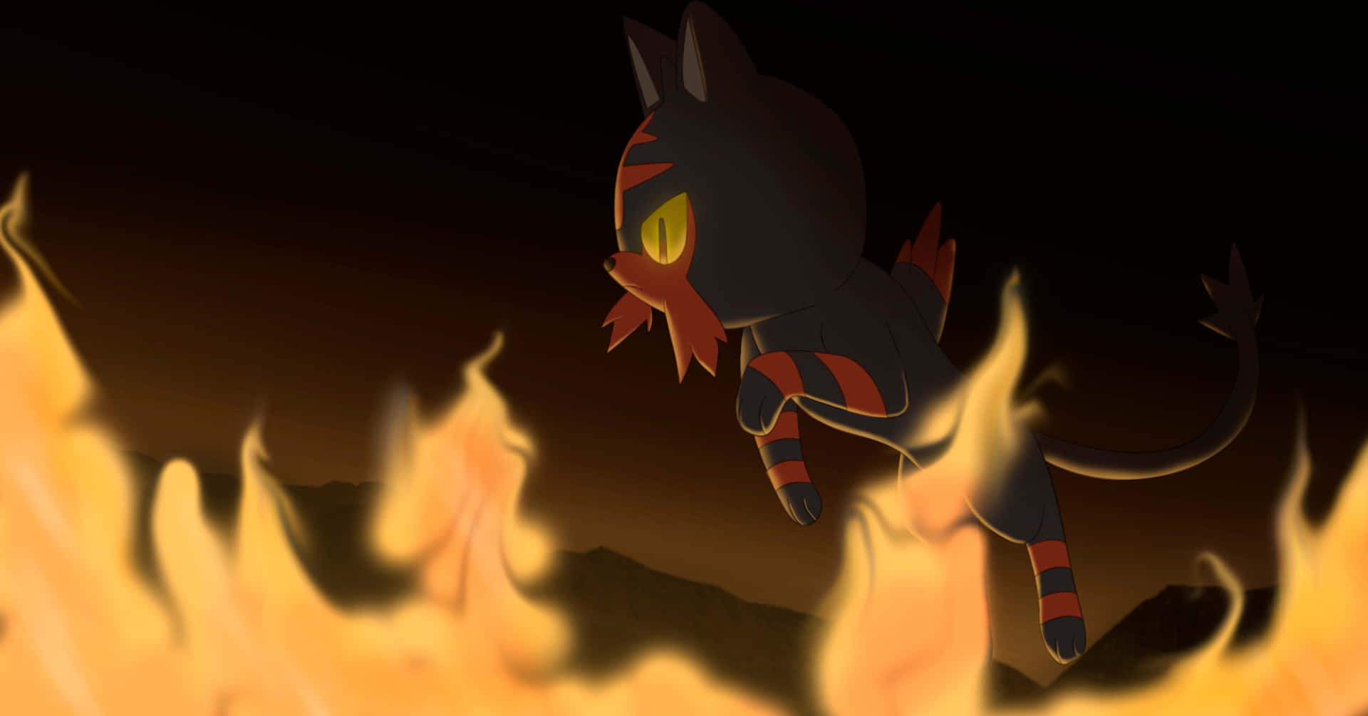 Litten Near Fire