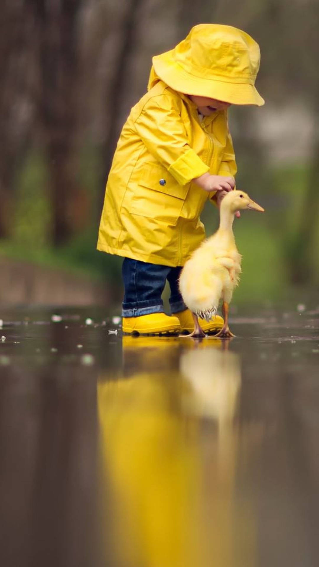 Little Boy Playing With Ducks 2160x3840