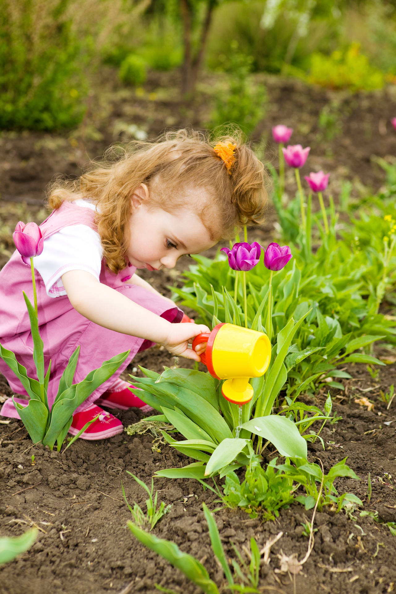 Little Girl Gardening Focus Photography Background
