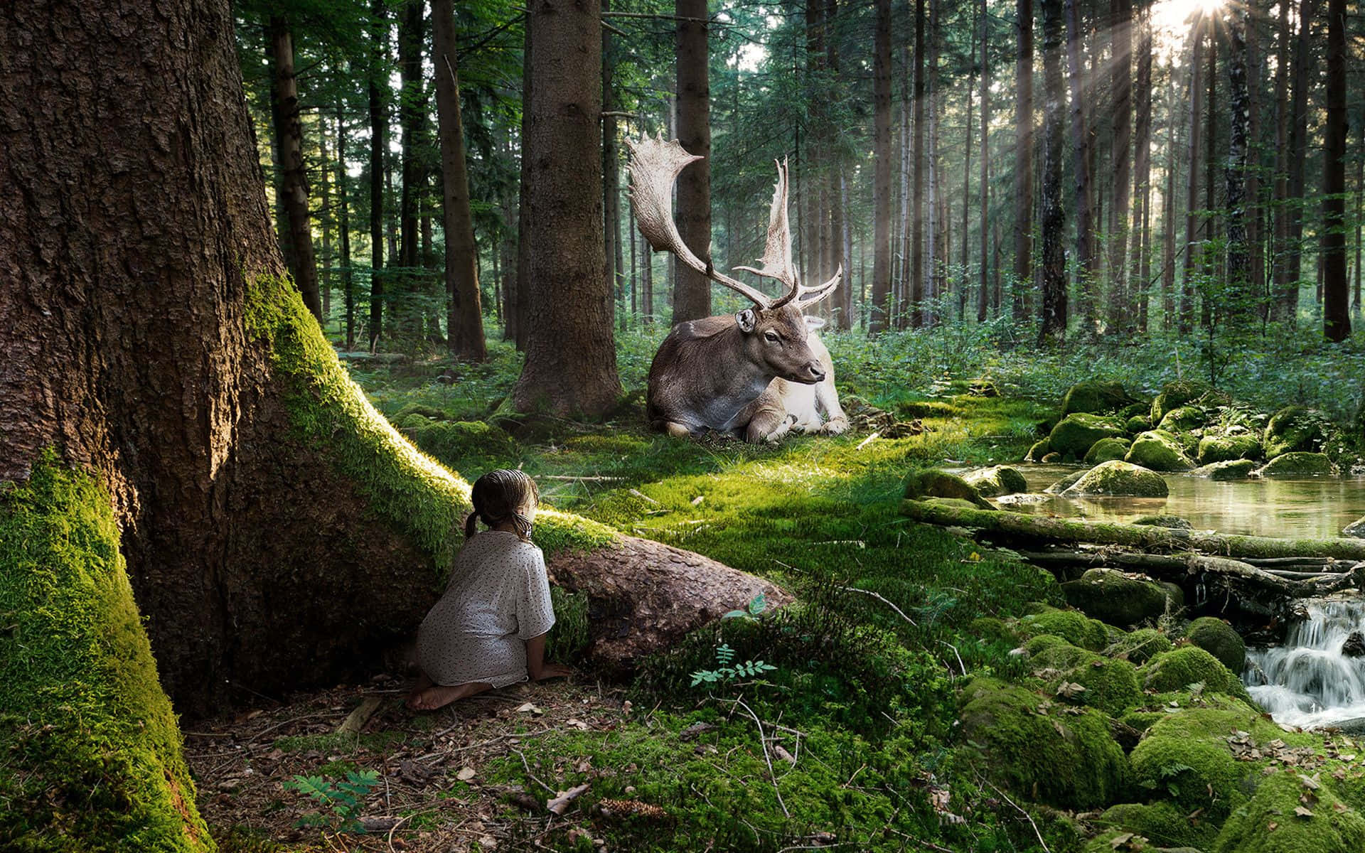 Little Girl Hiding In Green Forest Background