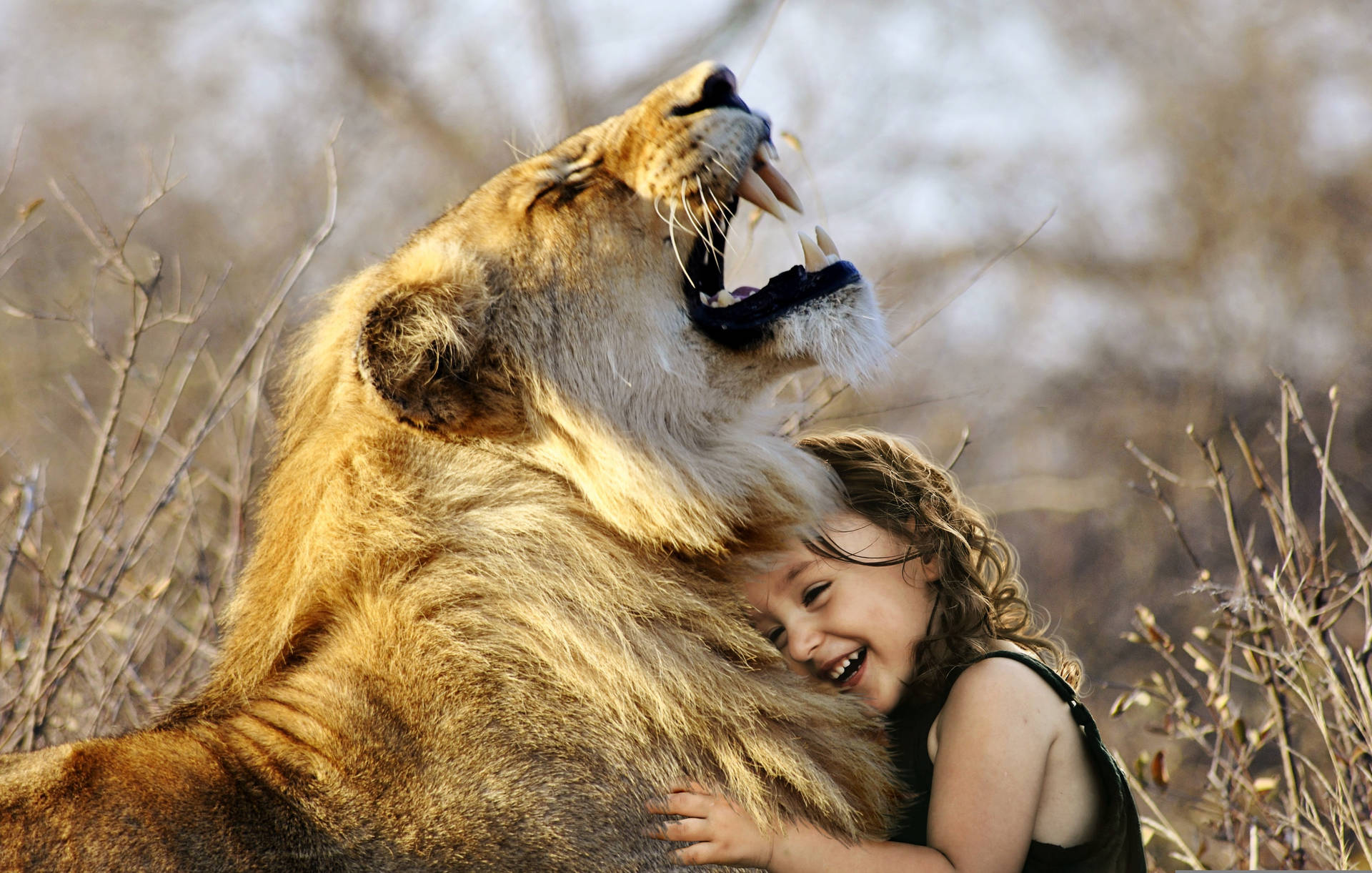 Little Girl Hugging A Wild Animal