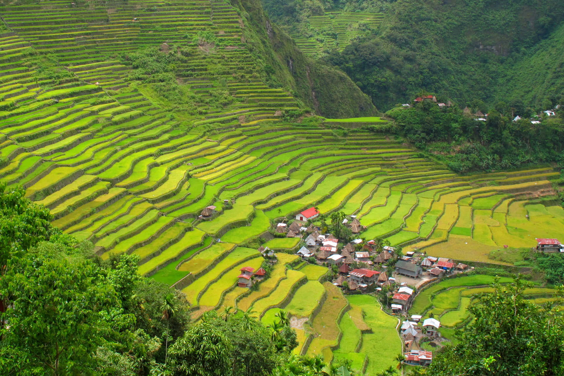 Little Houses In Banaue Rice Terraces