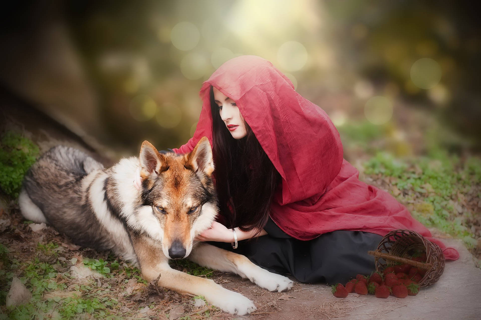 Little Red Riding Hood Bonding With Loyal Canine Companion Background