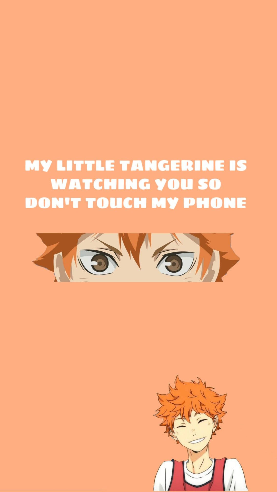 Little Tangerine Shoyo Hinata Background