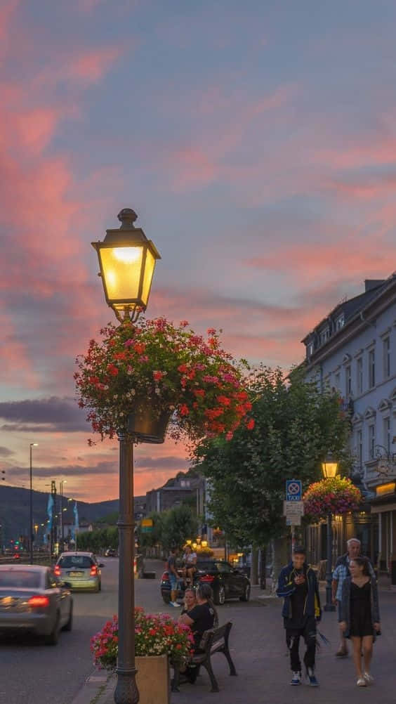 Live Aesthetic Lamp Post Flowers Europe Background