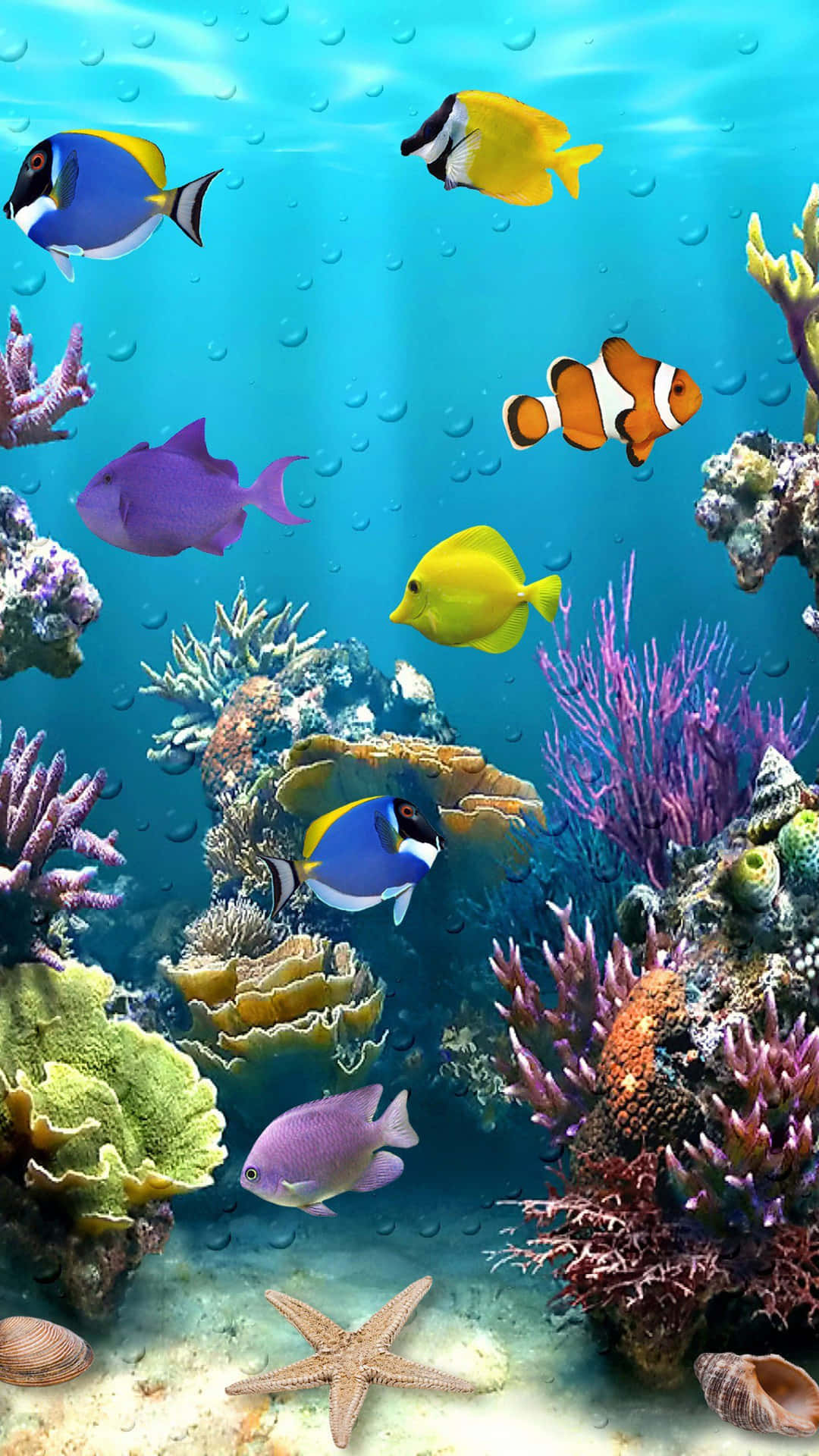 Live Aquarium Nemo Fish Background