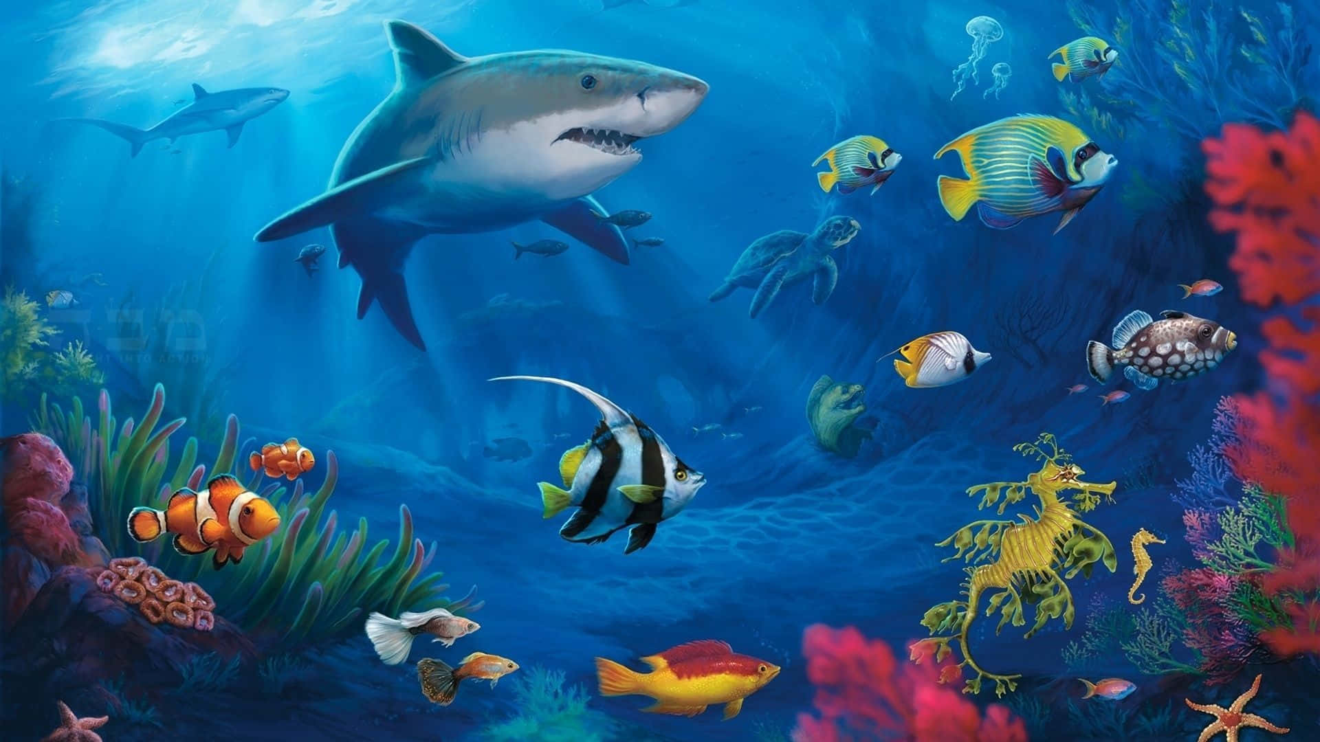 Live Fishes With A Shark Underwater Background