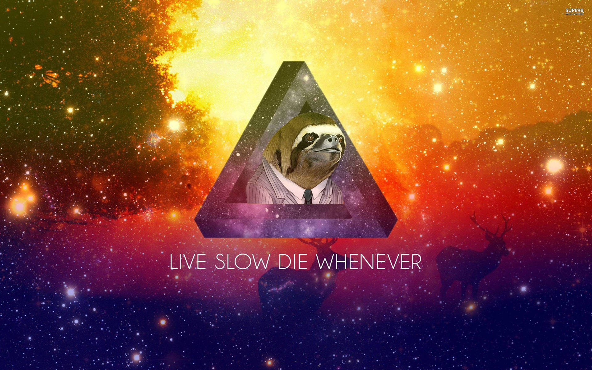 Live Slow Die Whenever Sloth Background