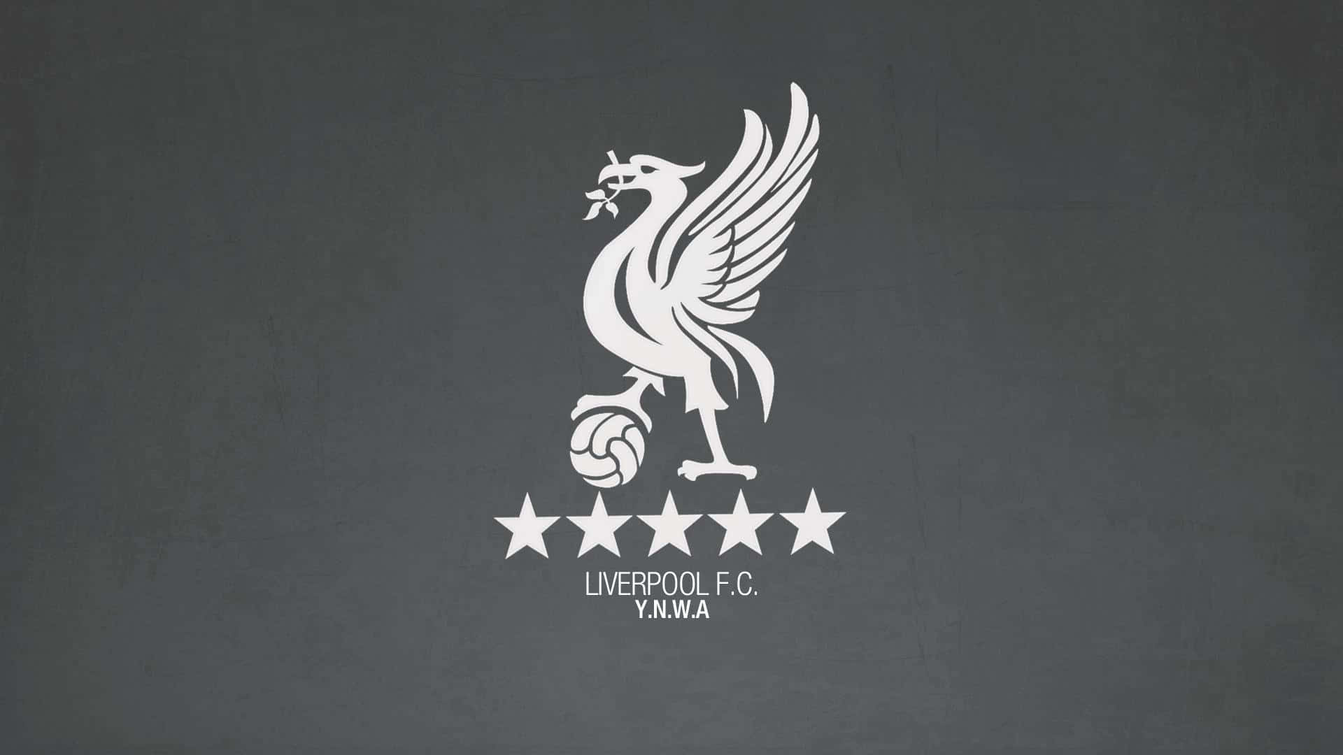 Liverpool Fc Crest Background