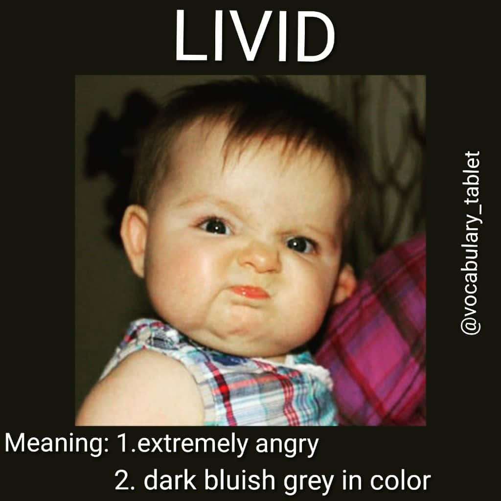 Livid Baby Expression Meme Background