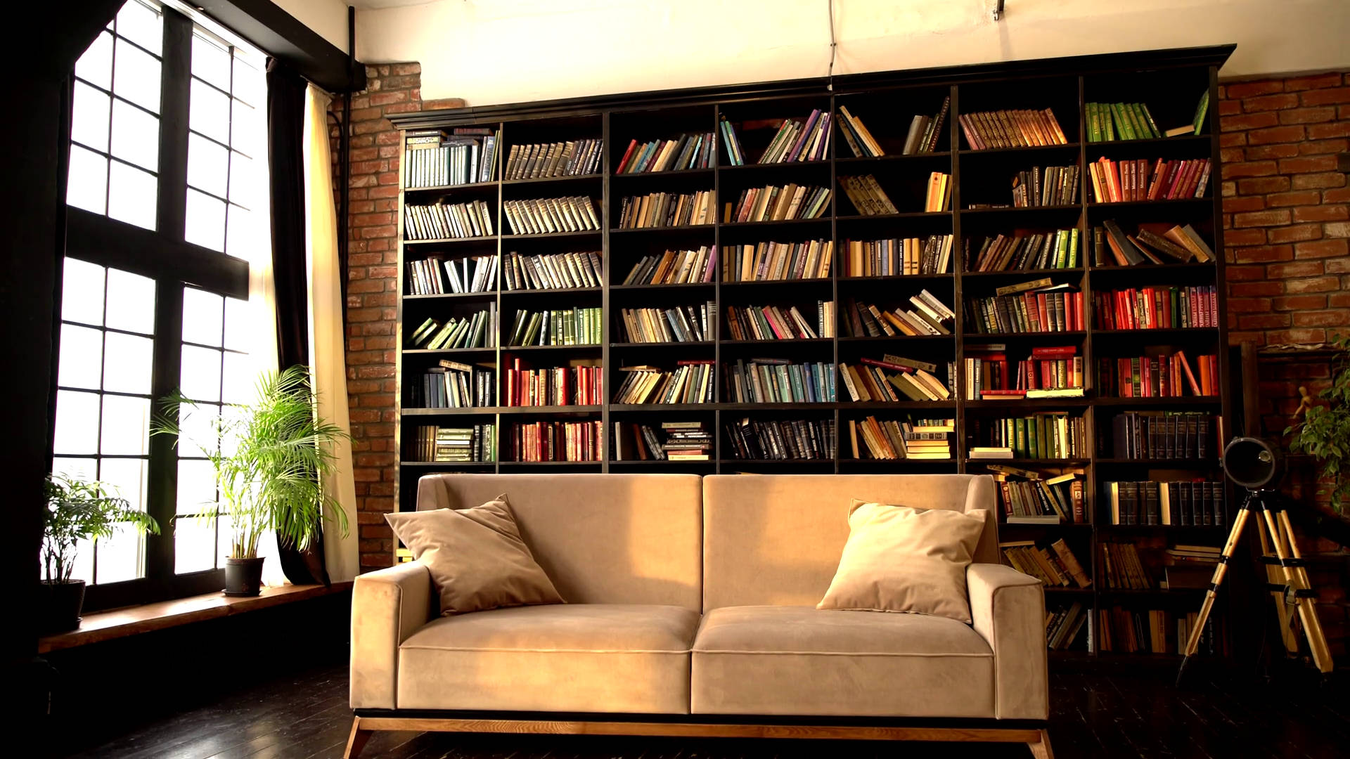 Living Room With Big Bookshelf Background