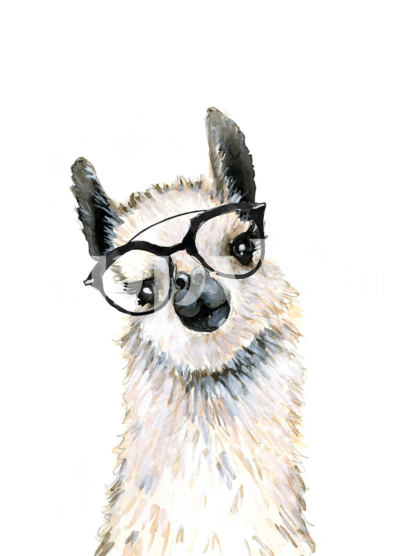 Llama In Watercolor Background