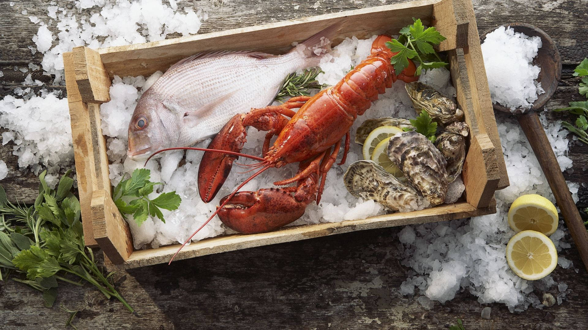 Lobster On Crate Full Of Ice Background