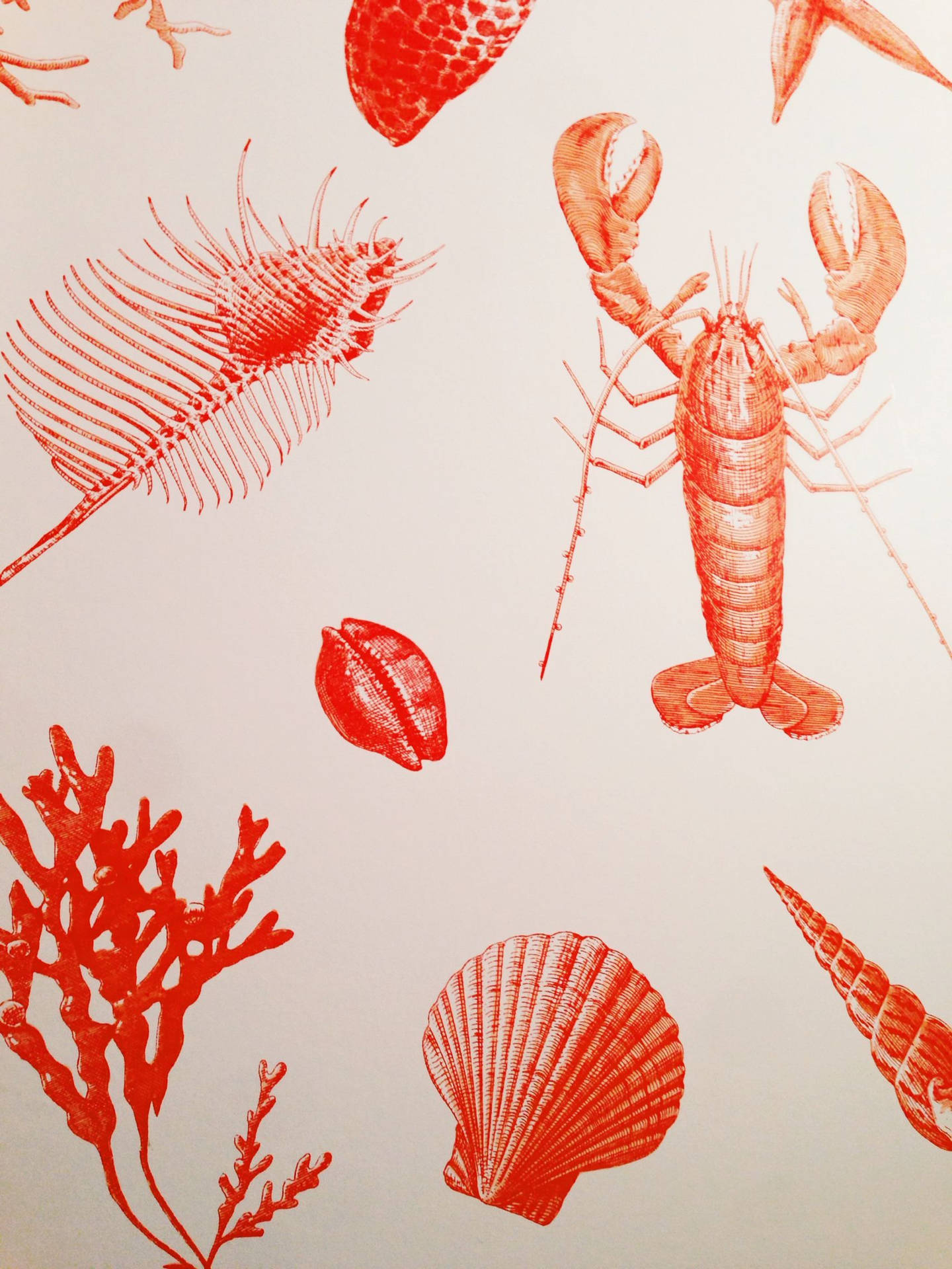 Lobster With Marine Animals Background