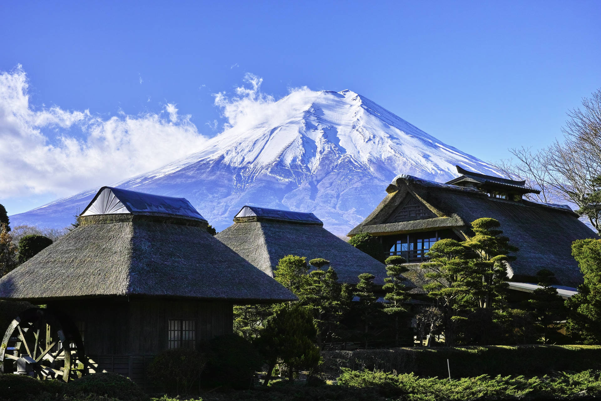 Local Village And Mount Fuji