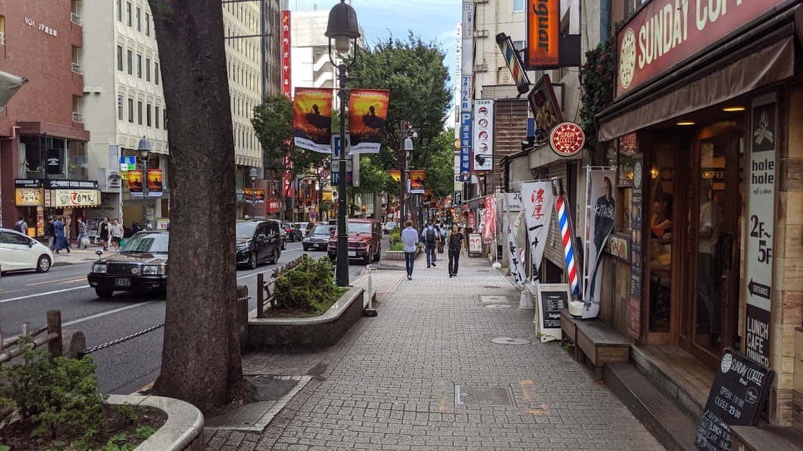 Local Walkway In Japan