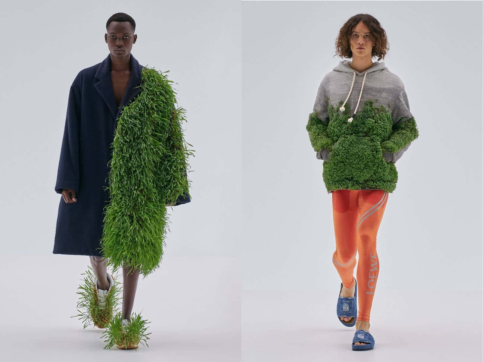 Loewe Men's Wear With Plant Designs Background