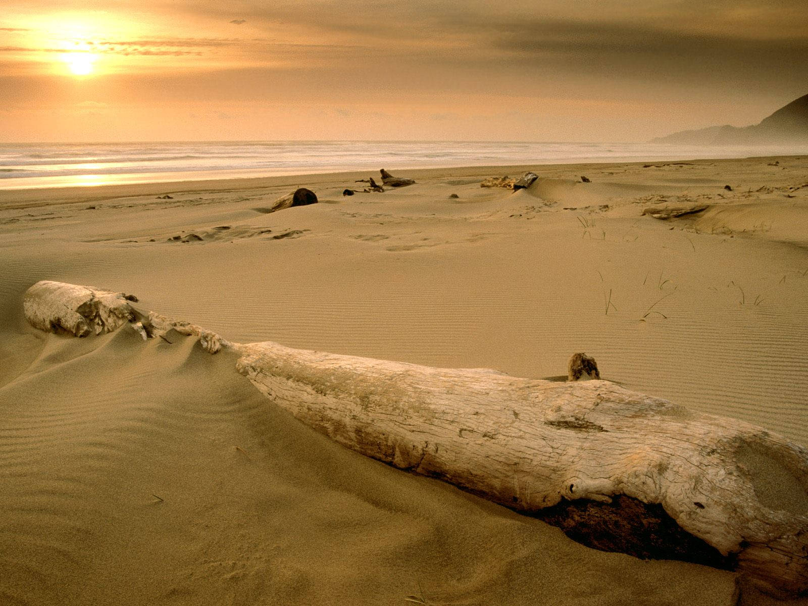 Log On Sand Beach Desktop Background