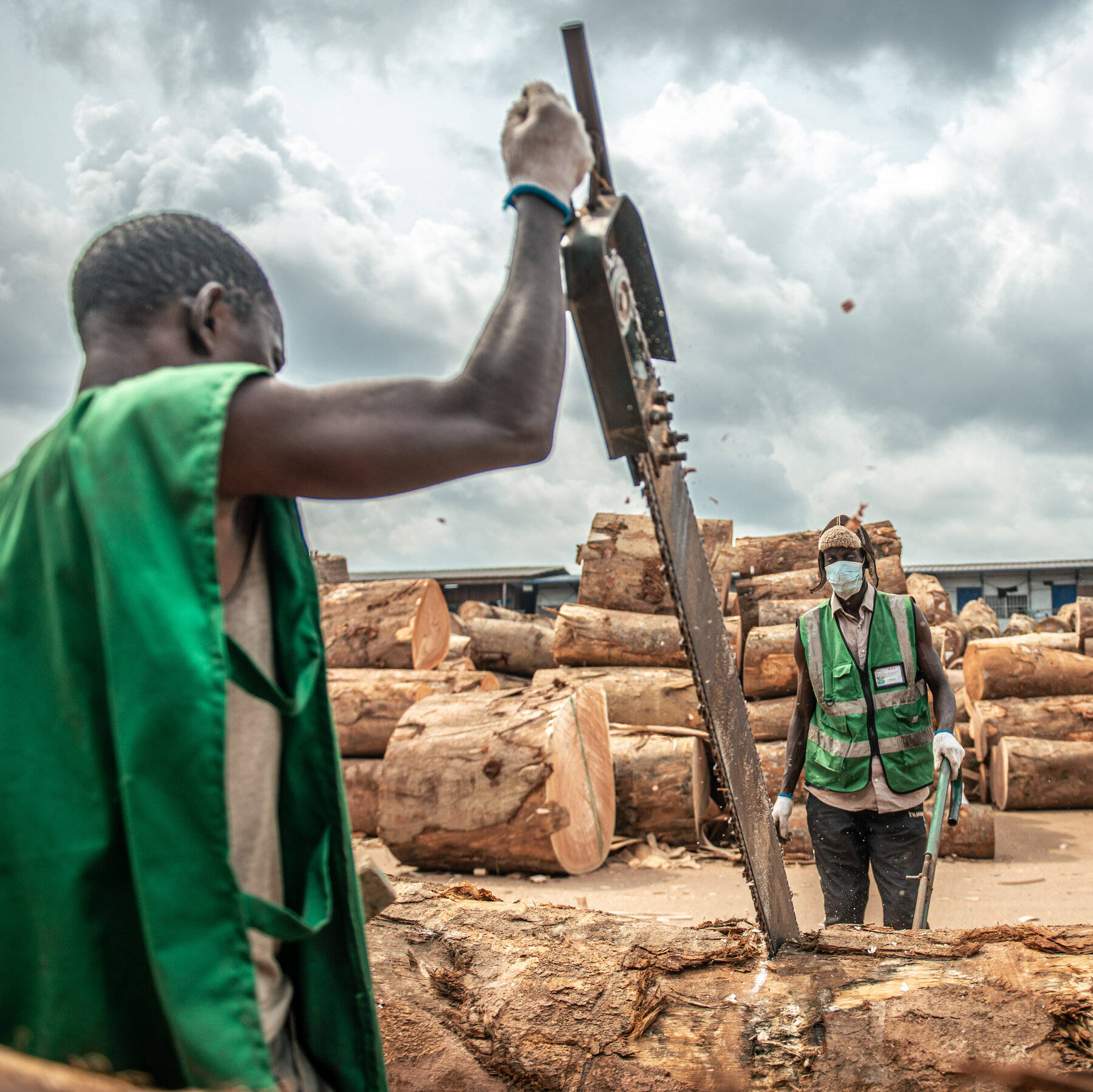 Logging In Gabon