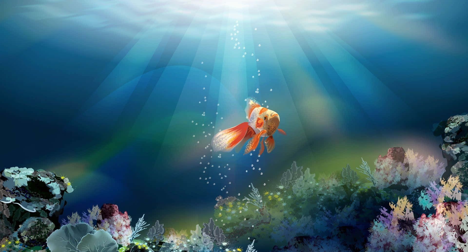 Lone Ocean Goldfish Desktop Background