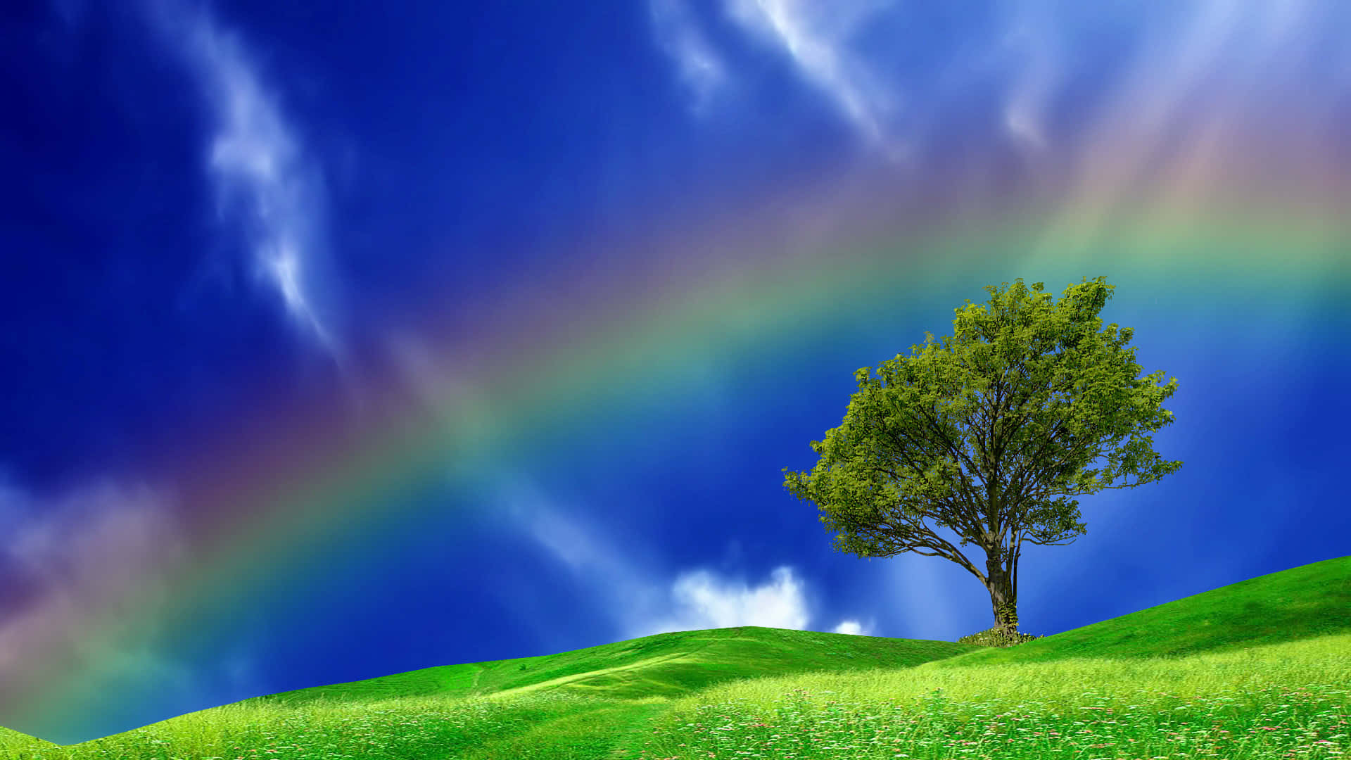 Lone_ Tree_ Under_ Rainbow Background