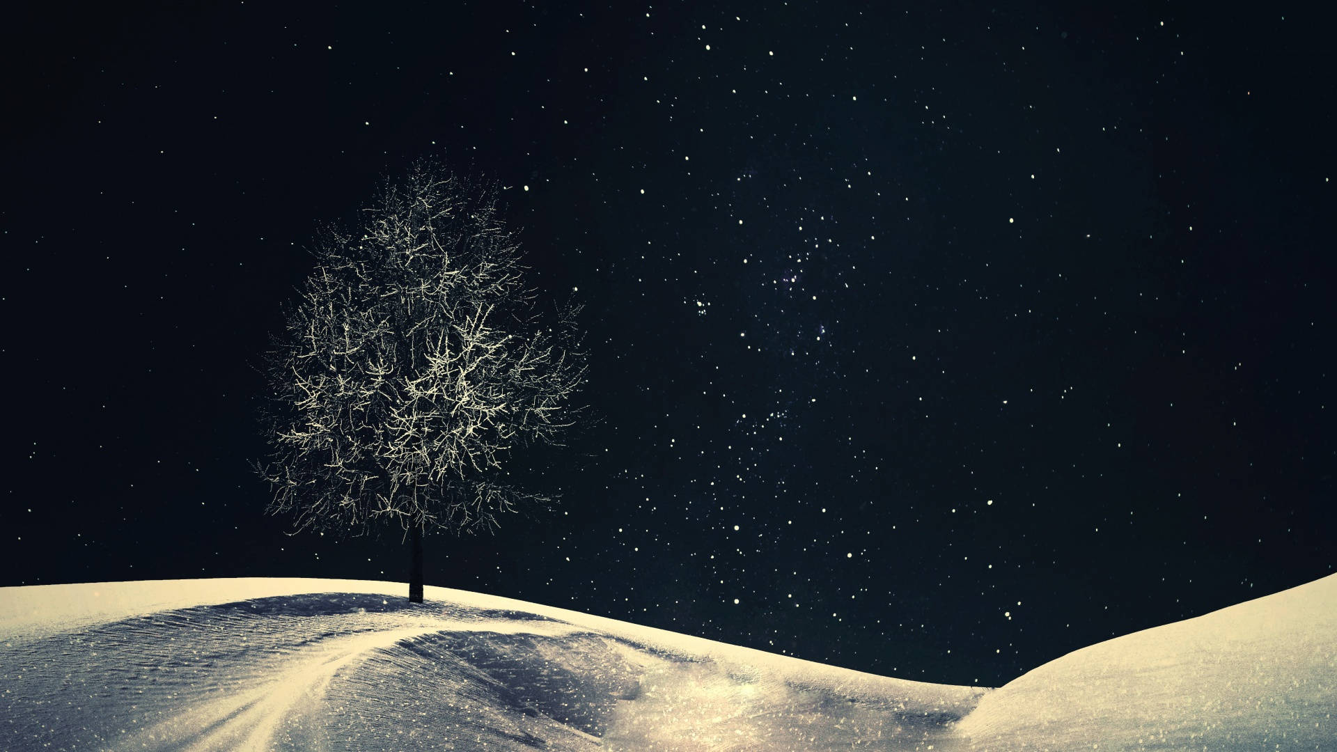 Lone Tree Winter Aesthetic Background